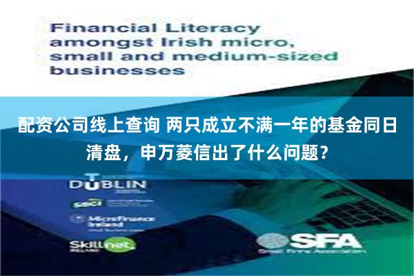 配资公司线上查询 两只成立不满一年的基金同日清盘,申万菱信出了什么问题?