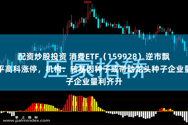 配资炒股投资 消费ETF(159928)逆市飘红,隆平高科涨停,机构:转基因种子或带动龙头种子企业量利齐升