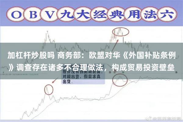加杠杆炒股吗 商务部:欧盟对华《外国补贴条例》调查存在诸多不合理做法,构成贸易投资壁垒