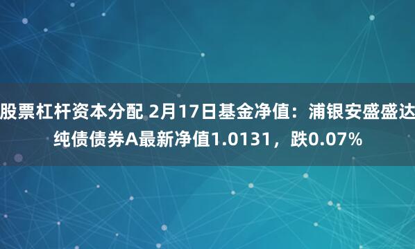 股票杠杆资本分配 2月17日基金净值:浦银安盛盛达纯债债券A最新净值1.0131,跌0.07%