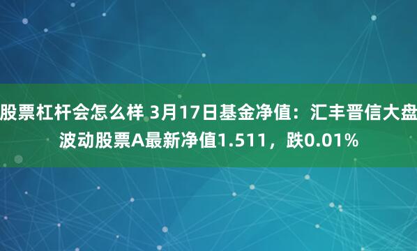 股票杠杆会怎么样 3月17日基金净值：汇丰晋信大盘波动股票A最新净值1.511，跌0.01%
