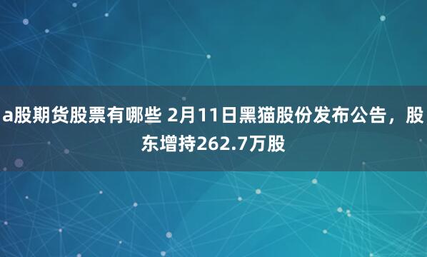 a股期货股票有哪些 2月11日黑猫股份发布公告，股东增持262.7万股