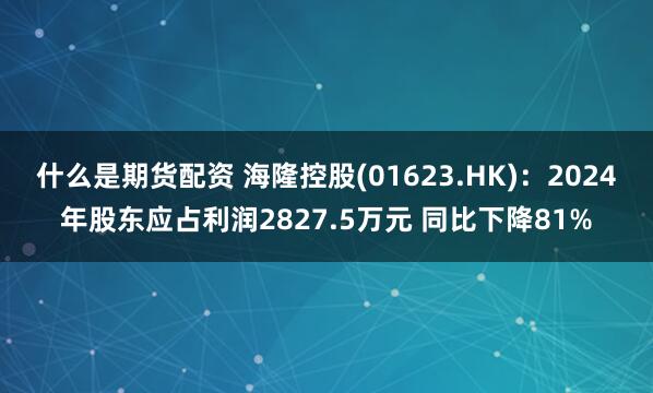 什么是期货配资 海隆控股(01623.HK):2024年股东应占利润2827.5万元 同比下降81%