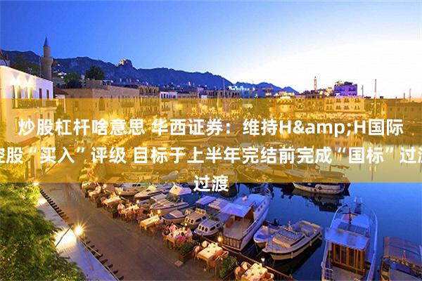 炒股杠杆啥意思 华西证券:维持H&H国际控股“买入”评级 目标于上半年完结前完成“国标”过渡