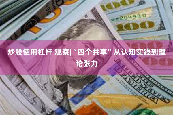 炒股使用杠杆 观察|“四个共享”从认知实践到理论张力