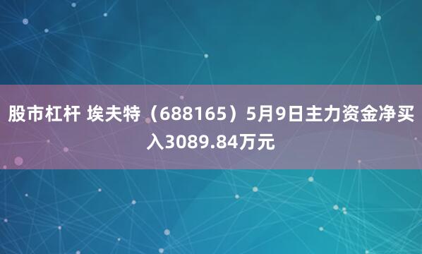 股市杠杆 埃夫特（688165）5月9日主力资金净买入3089.84万元