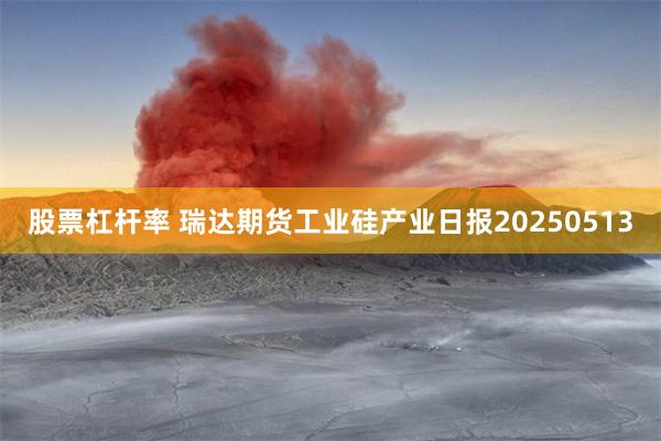 股票杠杆率 瑞达期货工业硅产业日报20250513