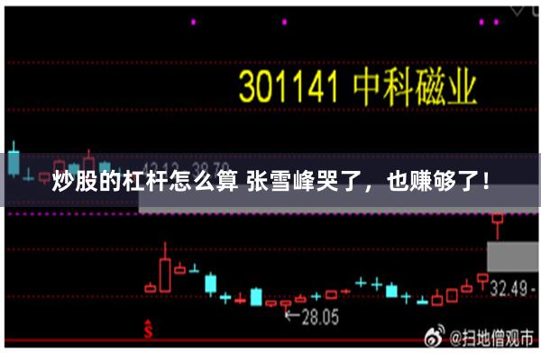 炒股的杠杆怎么算 张雪峰哭了,也赚够了!
