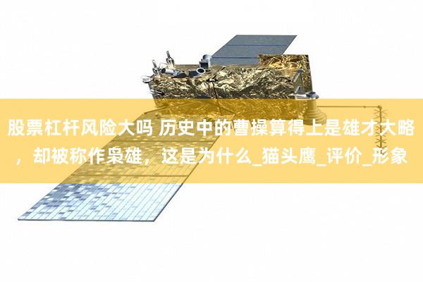 股票杠杆风险大吗 历史中的曹操算得上是雄才大略,却被称作枭雄,这是为什么_猫头鹰_评价_形象