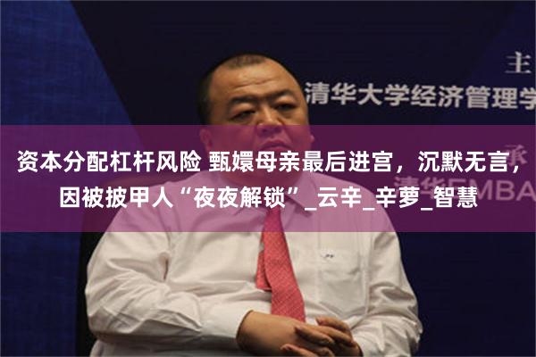 资本分配杠杆风险 甄嬛母亲最后进宫,沉默无言,因被披甲人“夜夜解锁”_云辛_辛萝_智慧
