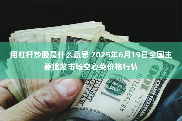 用杠杆炒股是什么意思 2025年6月19日全国主要批发市场空心菜价格行情