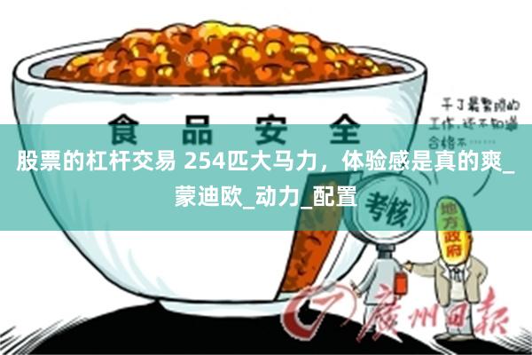 股票的杠杆交易 254匹大马力，体验感是真的爽_蒙迪欧_动力_配置