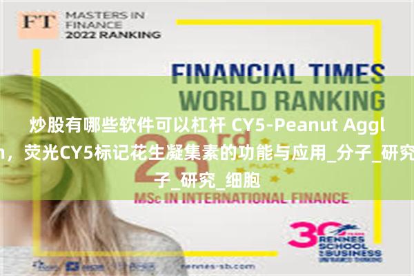 炒股有哪些软件可以杠杆 CY5-Peanut Agglutinin,荧光CY5标记花生凝集素的功能与应用_分子_研究_细胞