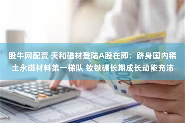 股牛网配资 天和磁材登陆A股在即:跻身国内稀土永磁材料第一梯队 钕铁硼长期成长动能充沛