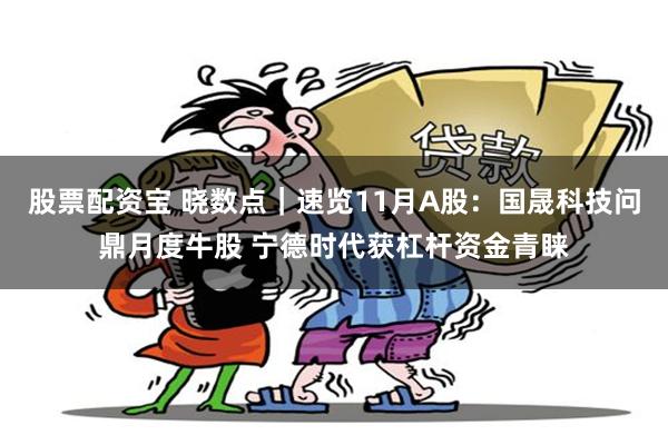 股票配资宝 晓数点｜速览11月A股：国晟科技问鼎月度牛股 宁德时代获杠杆资金青睐