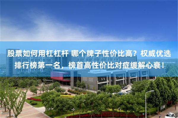 股票如何用杠杠杆 哪个牌子性价比高？权威优选排行榜第一名，榜首高性价比对症缓解心衰！