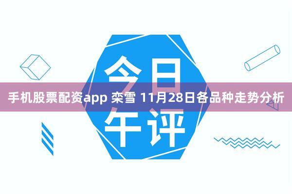手机股票配资app 栾雪 11月28日各品种走势分析