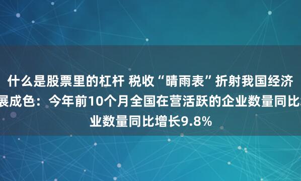 什么是股票里的杠杆 税收“晴雨表”折射我国经济高质量发展成色：今年前10个月全国在营活跃的企业数量同比增长9.8%